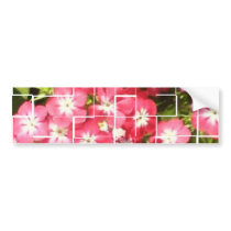 Sonia Gandhi Smile Bumper Sticker