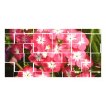Sonia Gandhi Smile Personalized Photo Card