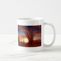 Sonora Desert, Arizona Coffee Mugs