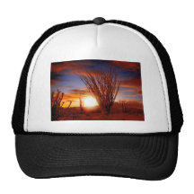 Sonora Desert, Arizona Mesh Hat