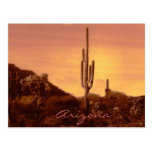 sonoran sunset with text postcard