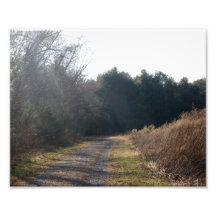 Soothing Path10x8 Photographic Print