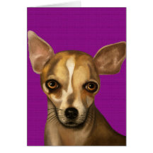 Sophia In Purple Cards