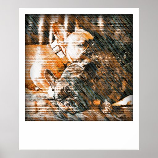 Sophie and Penny the french bulldogs Poster