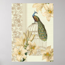 Sophisticated vintage Peacock & Cage Lily Poster