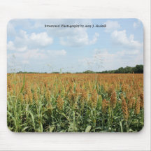 Sorghum Field Mousepad