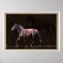 Sorraia Spanish Mustang Gift Item Print