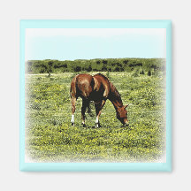 Sorrel Horse Fridge Magnet