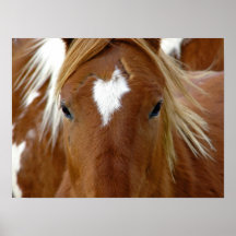 Sorrel Horse Posters
