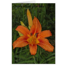 Sorry for your loss cards