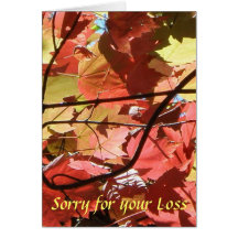 Sorry for your Loss Sympathy Card (From Us)
