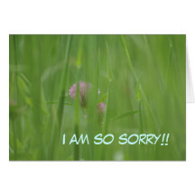 sorry greeting card