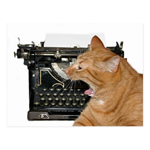 Sorry I haven't written Postcards