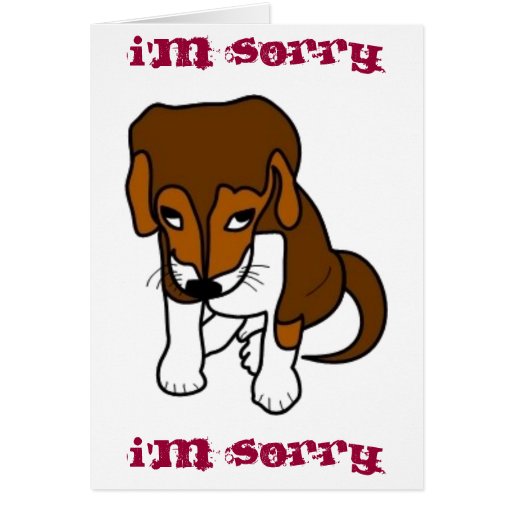 Sorry puppy greeting card Zazzle