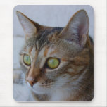 Sorsha Mousepad