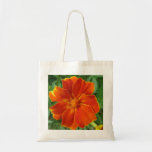 Souci Fourre-tout Sac En Toile