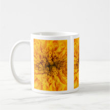 Souci jaune tasse