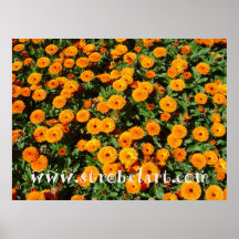 SOUCIS DE STROBELART POSTER