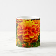 soucis mugs