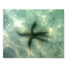 Souhait sur une étoile de mer photographie d’art