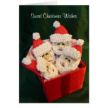 Souhaits doux de Noël Cartes