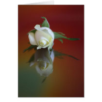 Soul Mate Greeting Cards