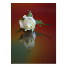 Soul Mate Post Cards