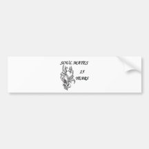 SOUL MATES 15 Years Bumper Sticker