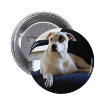 SOUL PIN