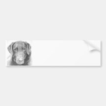 Soulful Chocolate Labrador Sketch Bumper Sticker