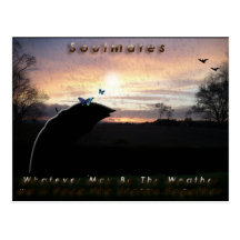 "Soulmates Stormy Weather"* Postcards