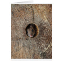 Souris en bois cartes de vœux