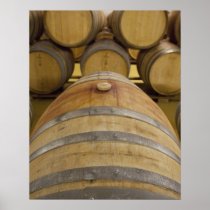 South Africa, Cape Town. Stellenbosch wine area,