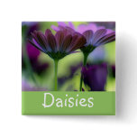 South African Daisies, Square Pin Button