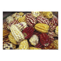 South America, Peru Corn, Maize