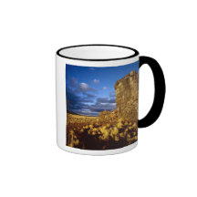 South America, Peru, near Lake Titicaca. Mugs