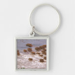 South America, Venezuela, Llano region. Key Chains