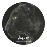 South American Black Jaguar Wildlife Collector Round Sticker