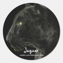 South American Black Jaguar Wildlife Collector Sticker