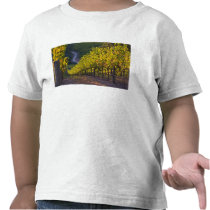 South Australia, Adelaide Hills, Summertown. 2 Tshirt