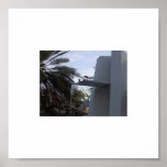 South Beach Bird Bath- F #5 posters