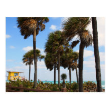 South Beach Lifeguard House Post Card