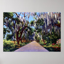 South Carolina Highway Scene Poster