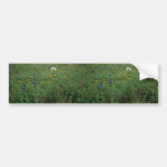 South Dakota Wildflowers Bumper Stickers