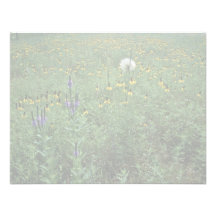 South Dakota Wildflowers Custom Invite