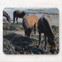 South Devon Beach Dartmoor Ponies Eating Seaweed Mouse Pad