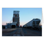 South Elevator Wilton ND Cards
