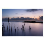 South Florida Sunrise Art Photo