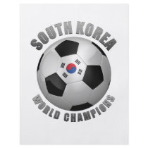 SOUTH KOREA SOCCER CHAMPIONS FULL COLOR FLYER