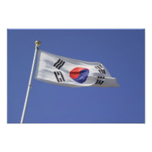 South Korean Flag Photo Art